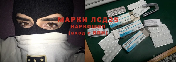 эйфоретик Аркадак