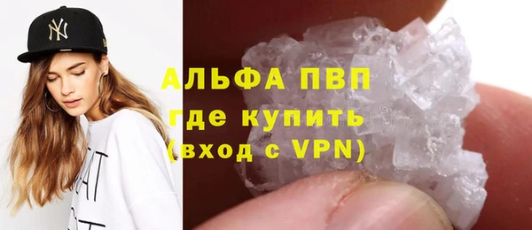 эйфоретик Аркадак