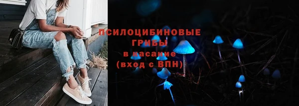 эйфоретик Аркадак