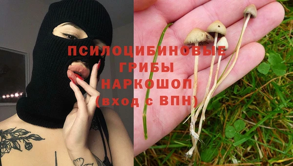 таблы Арсеньев