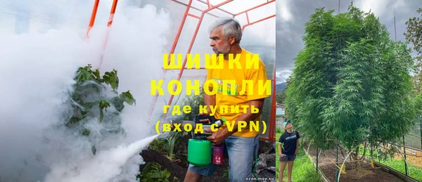 эйфоретик Аркадак