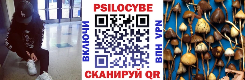Псилоцибиновые грибы мухоморы как найти закладки Любим